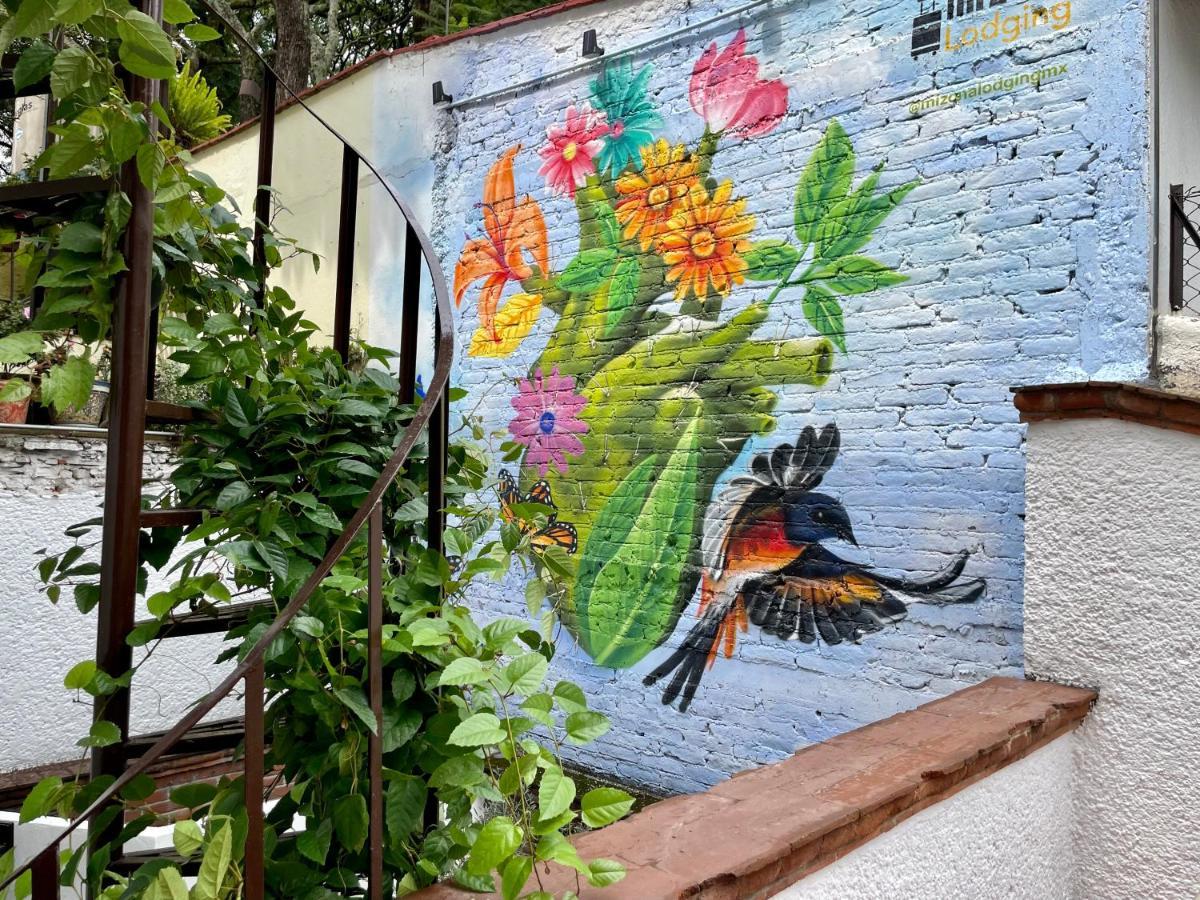 Mi Zona Lodging Coyoacan 멕시코 시 외부 사진